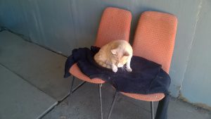 WP_20160722_11_46_14_Pro