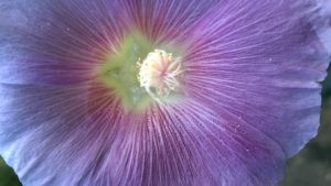 wp_20160918_16_39_47_pro_li