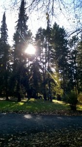 wp_20161030_12_45_00_pro_li