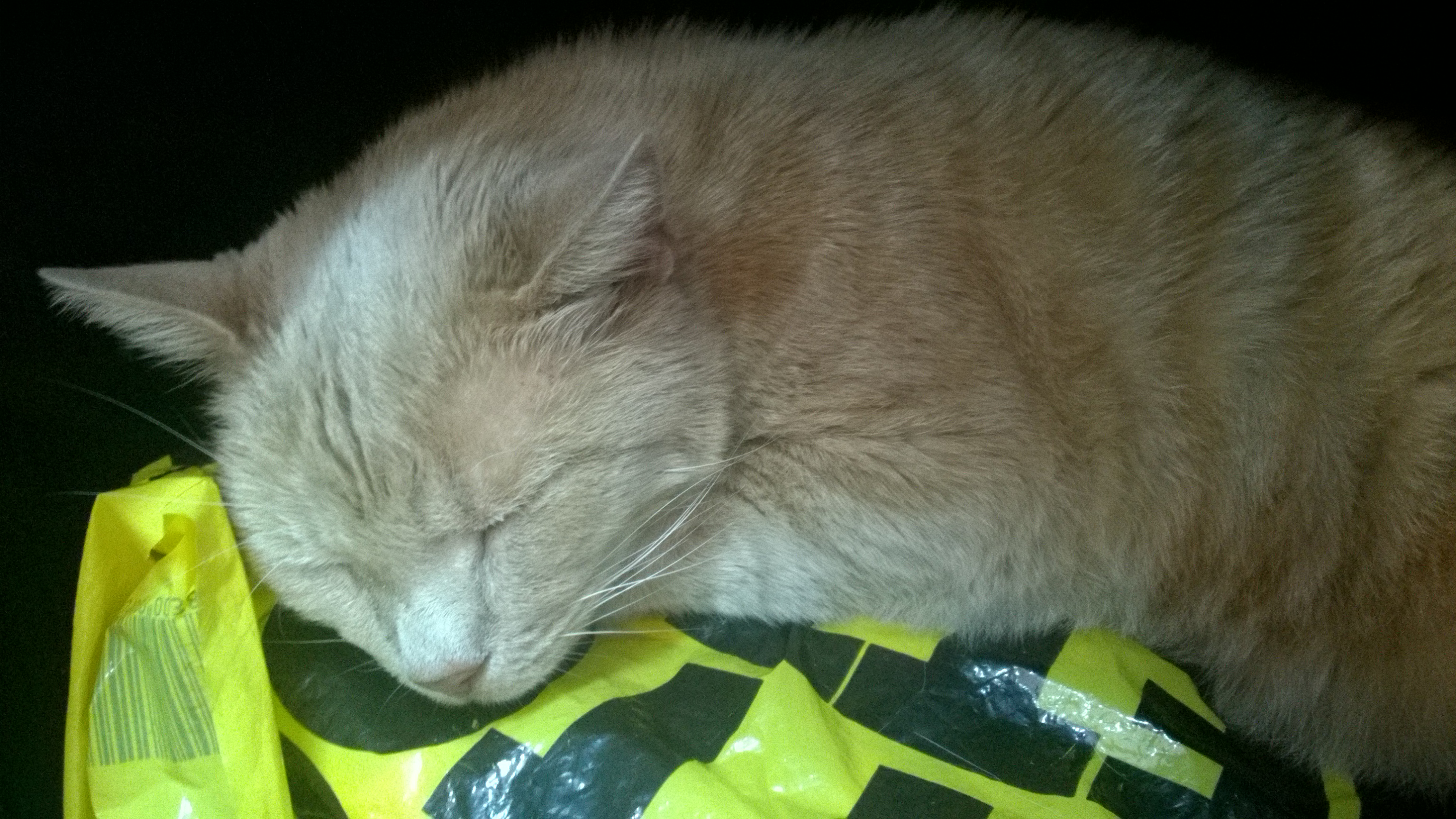 Sekretne życie Ruperta